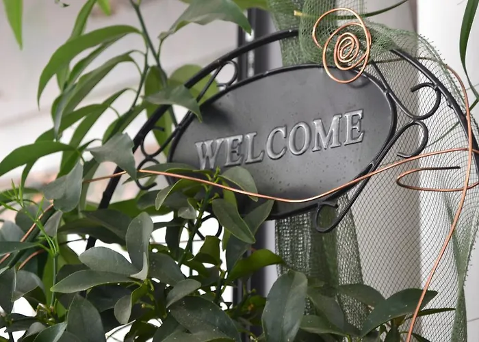 Ξενοδοχείο Alfredo's Ρίμινι