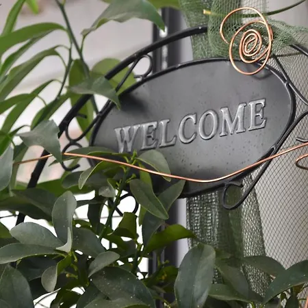 מלון Alfredo's רימיני